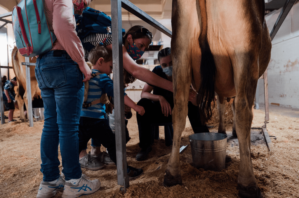 Screenshot 2023-10-31 at 11.03.37 am