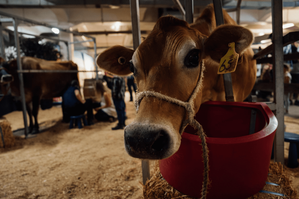 Screenshot 2023-10-31 at 11.03.59 am